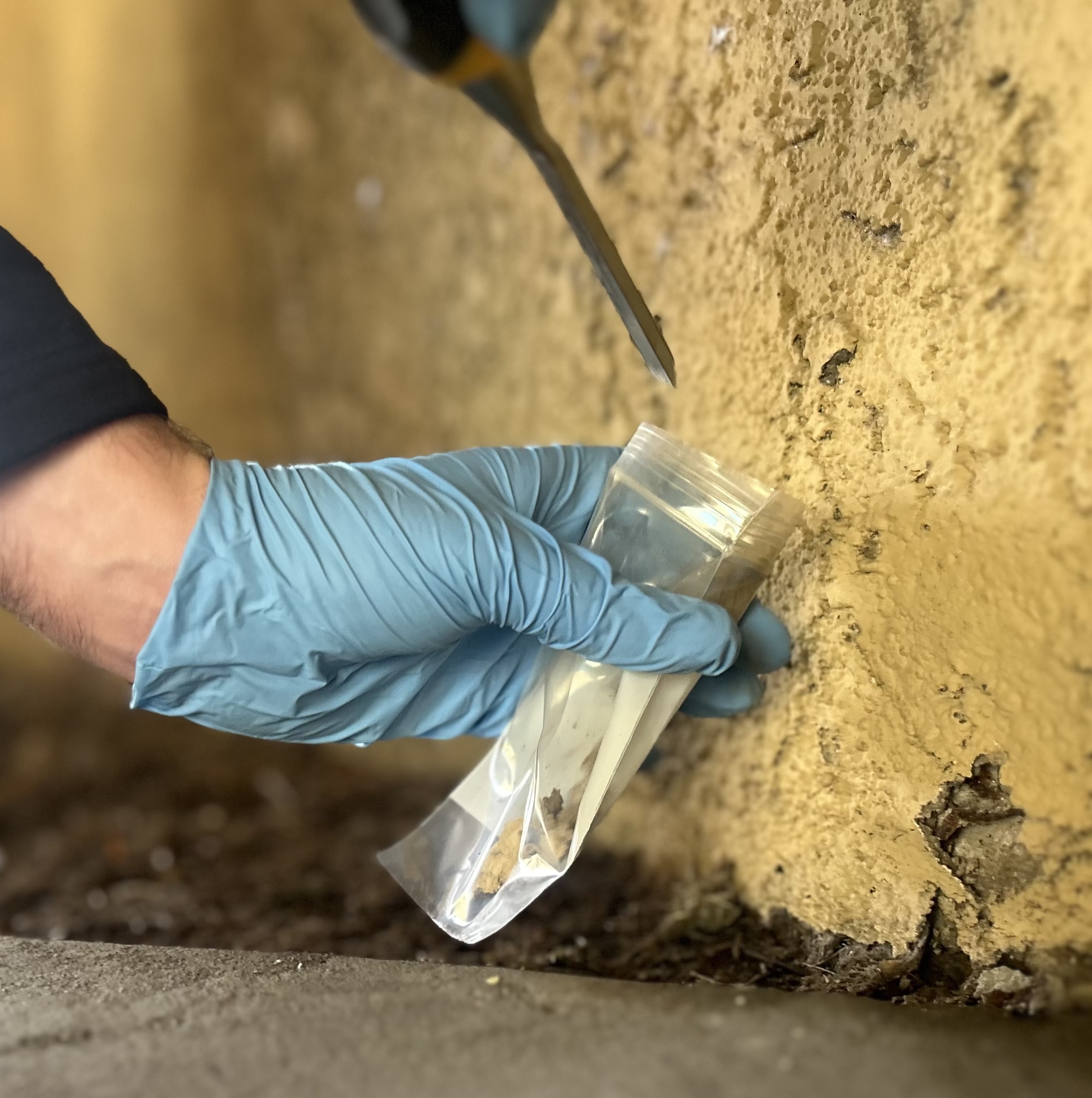 Asbestos testing and inspection services